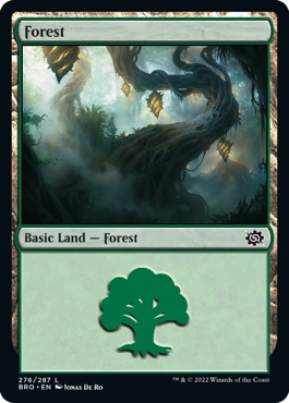 【ENG】《森/Forest》(276)[BRO]