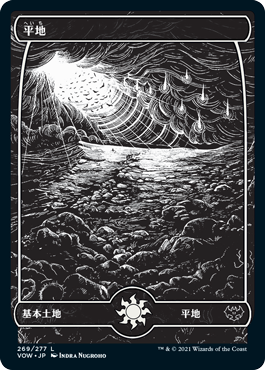 【JPN】■フルアート■《平地/Plains》(269)[VOW]