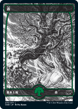 【JPN】■フルアート■《森/Forest》(276)[VOW]
