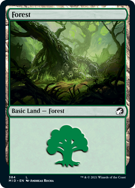【ENG】《森/Forest》(384)[MID]