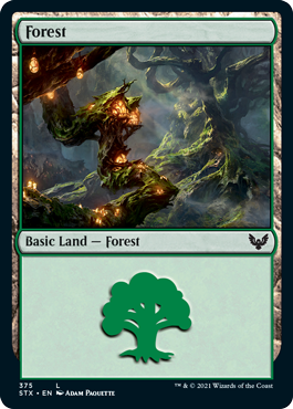 【ENG】《森/Forest》(375)[STX]