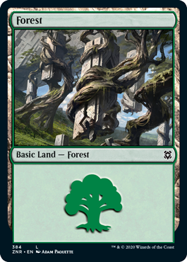 【ENG】《森/Forest》(384)[ZNR]