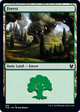 【ENG】《森/Forest》(286)[THB]