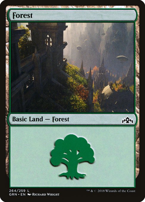 【ENG】《森/Forest》[GRN]