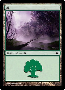【JPN】《森/Forest》(262)[ISD]
