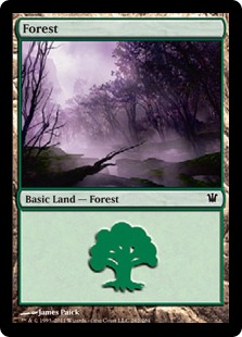【ENG】《森/Forest》(262)[ISD]