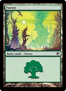 【ENF】《森/Forest》(248)[SOM]
