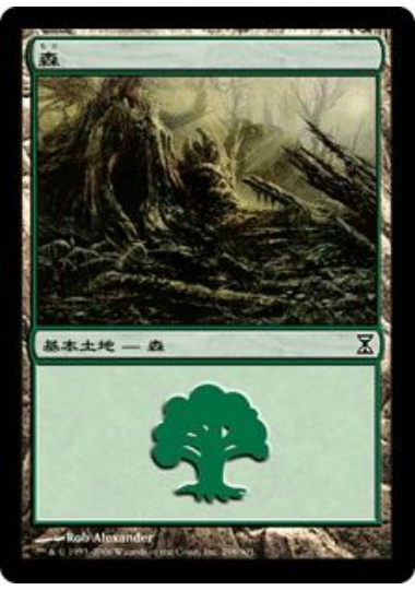 【JPN】《森/Forest》(298)[TSP]