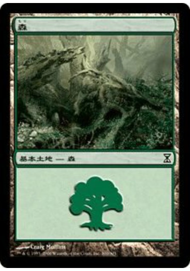 【JPN】《森/Forest》(300)[TSP]