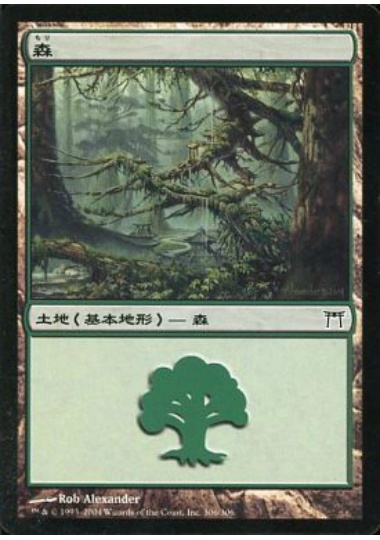 【JPN】《森/Forest》(306)[CHK]