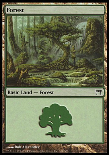 【ENG】《森/Forest》(304)[CHK]