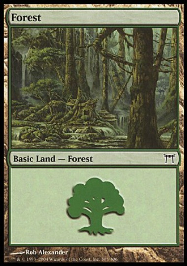 【ENG】《森/Forest》(305)[CHK]