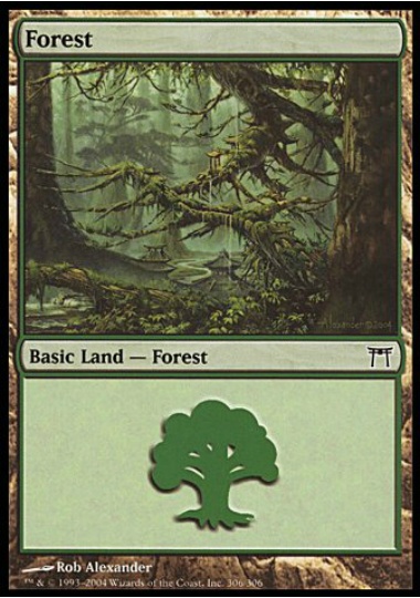 【ENG】《森/Forest》(306)[CHK]