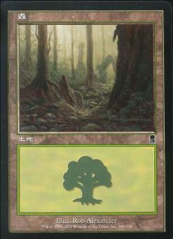 【JPN】《森/Forest》(348)[ODY]