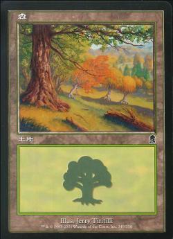 【JPN】《森/Forest》(349)[ODY]