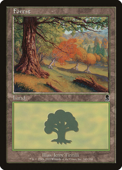 【ENG】《森/Forest》(349)[ODY]