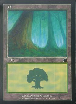 【JPN】《森/Forest》(347)[MMQ]