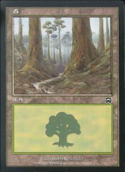 【JPN】《森/Forest》(349)[MMQ]