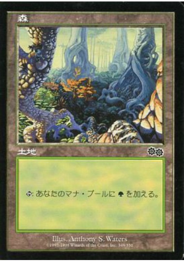 【JPN】《森/Forest》(349)[USG]