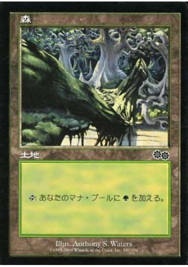 【JPN】《森/Forest》(350)[USG]