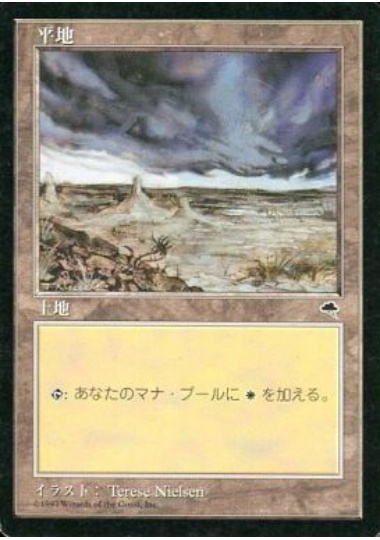 【JPN】《平地/Plains》(D)[TMP]