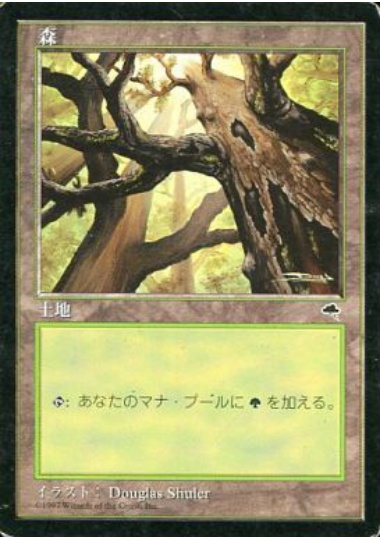 【JPN】《森/Forest》(A)[TMP]