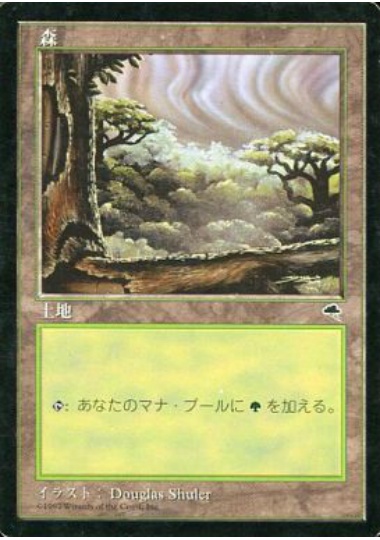 【JPN】《森/Forest》(C)[TMP]