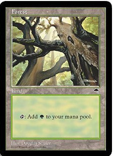 【ENG】《森/Forest》(A)[TMP]