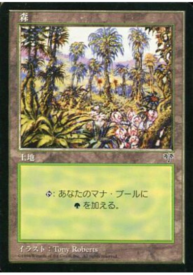 【JPN】《森/Forest》(B)[MIR]
