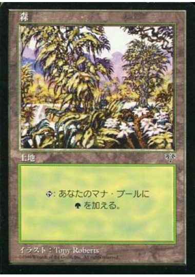 【JPN】《森/Forest》(D)[MIR]
