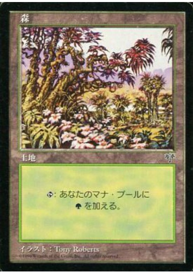 【JPN】《森/Forest》(A)[MIR]