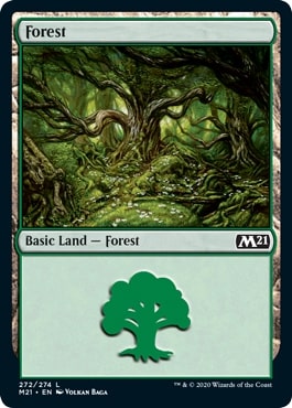 【ENG】《森/Forest》(272)[M21]