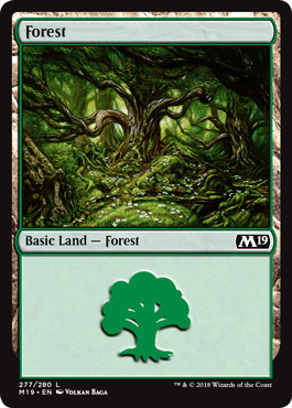 【ENG】《森/Forest》(277)[M19]