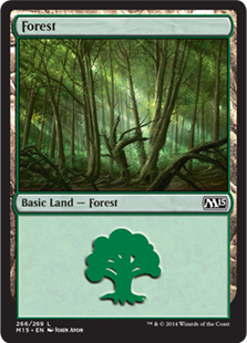 【ENG】《森/Forest》(266)[M15]