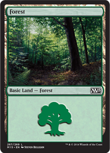 【ENG】《森/Forest》(267)[M15]