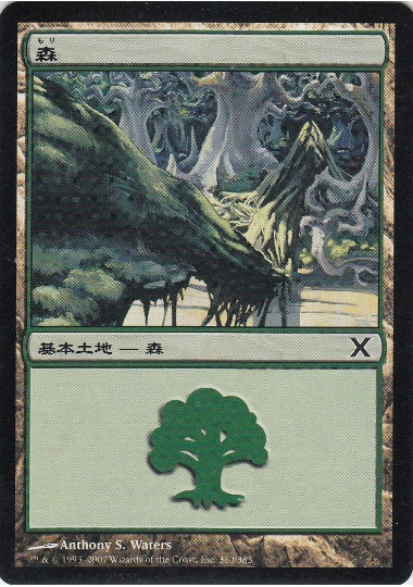【JPN】《森/Forest》(380)[10E]