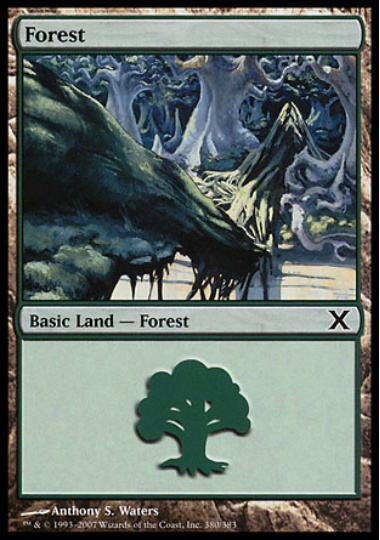 【ENG】《森/Forest》(380)[10E]