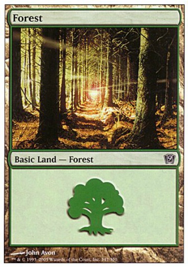 【ENG】《森/Forest》(347)[9ED]