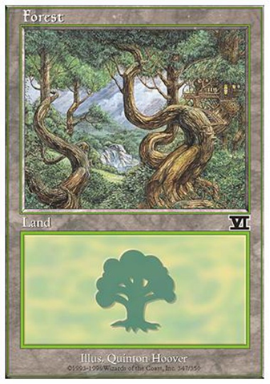 【ENG】《森/Forest》(347)[6ED]