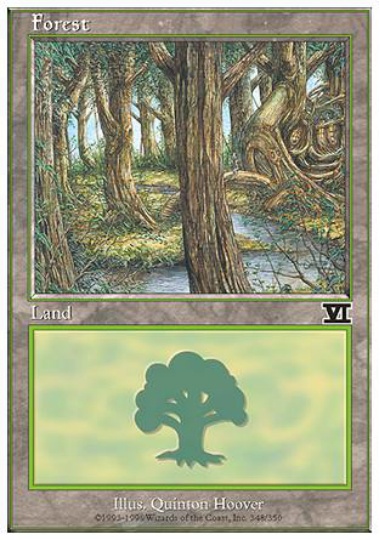 【ENG】《森/Forest》(348)[6ED]