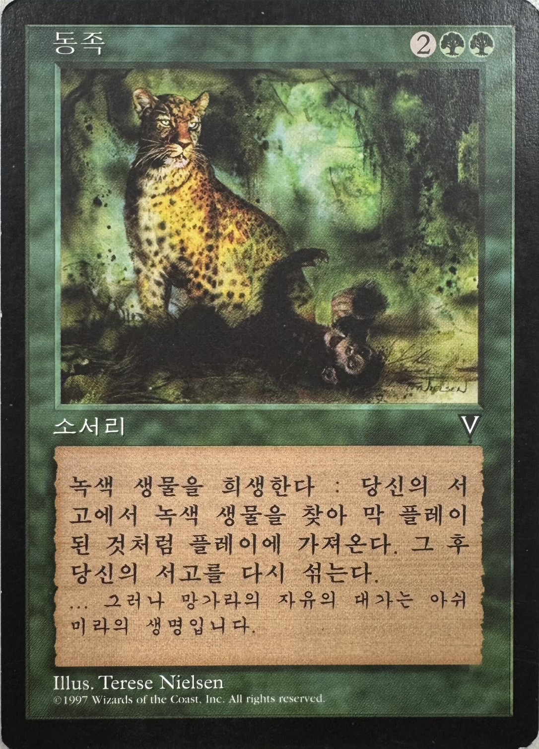 【KOR】《自然の秩序/Natural Order》[VIS]