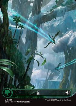 【JPN】■ボーダーレス■《森/Forest》(266)[EOE]