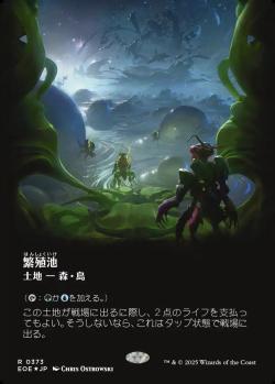【JPN】【Foil】■ギャラクシー■《繁殖池/Breeding Pool》[EOE]