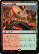 【JPN】《燃えがらの林間地/Cinder Glade》[EOC]