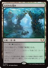 【JPN】《ただれた茂み/Festering Thicket》[EOC]