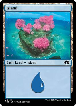【ENG】【Foil】《島/Island》(313)[MH3]